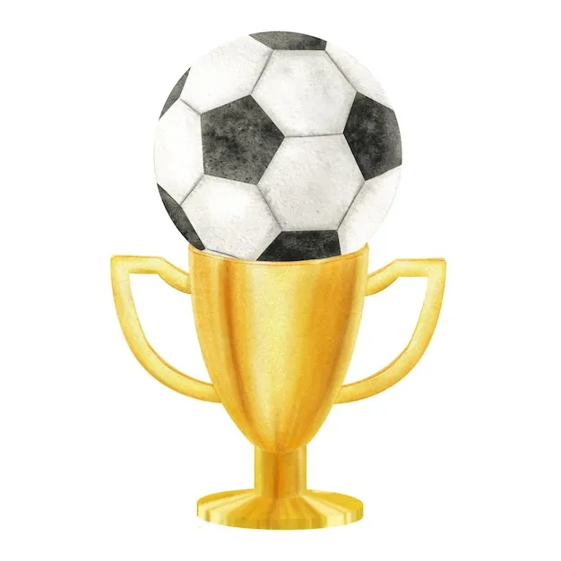 6686体育VIP官网 运动体验视觉图